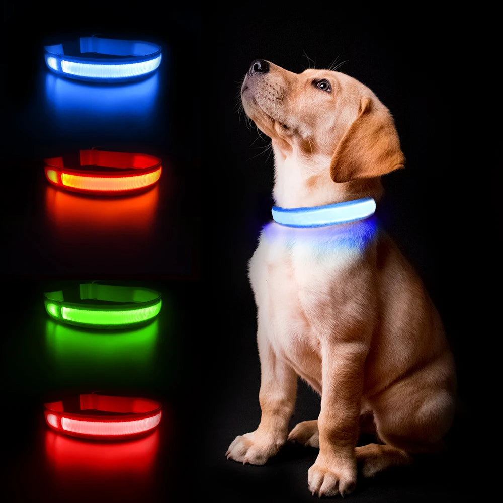 LED Hundehalsband – Wiederaufladbar & Wasserdicht