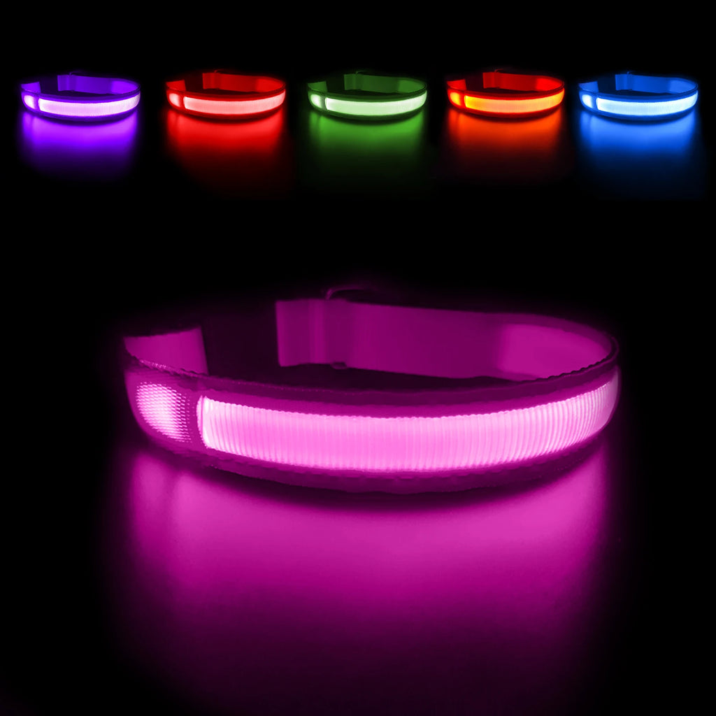 LED Hundehalsband – Wiederaufladbar & Wasserdicht
