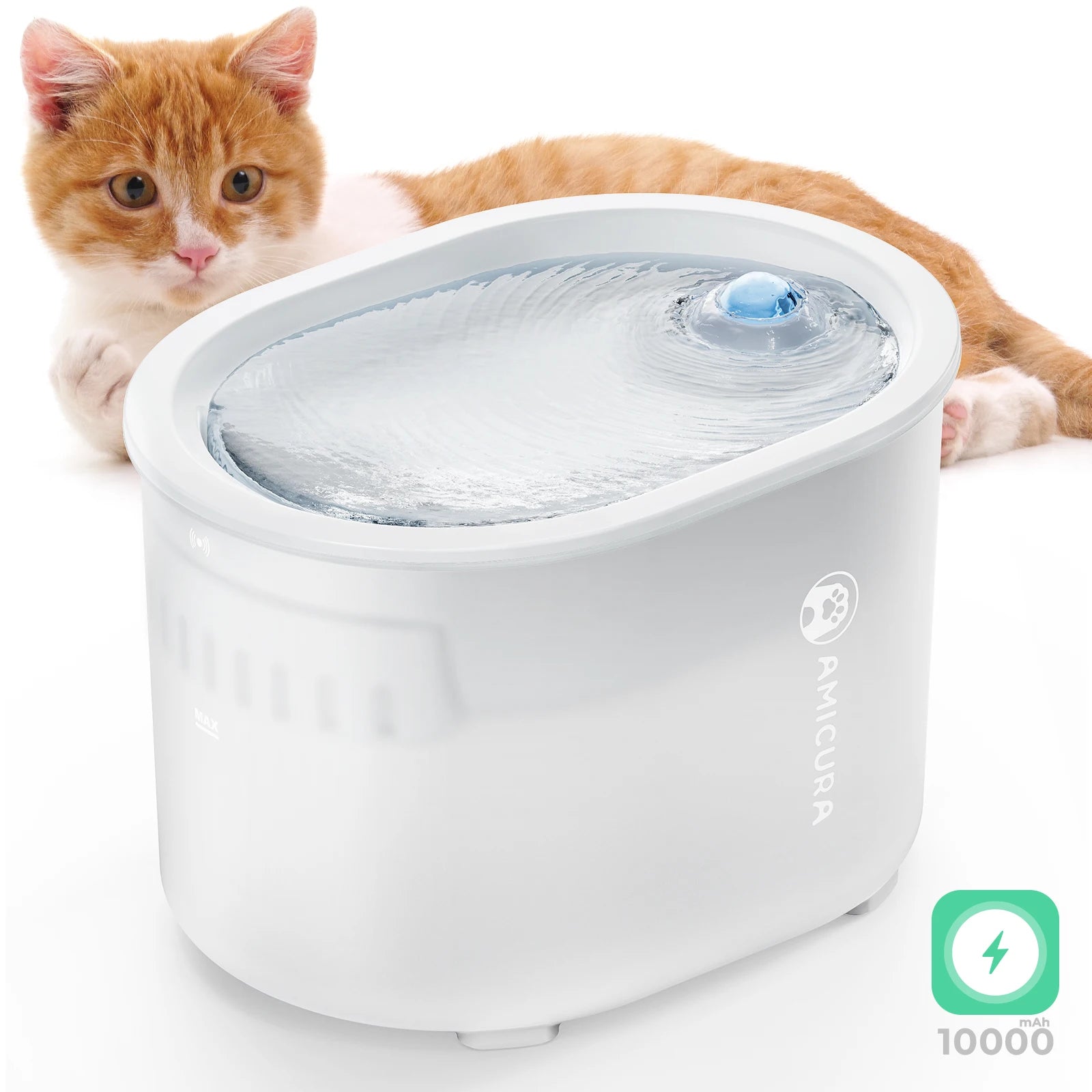 Kabelloser Trinkbrunnen für Katzen, 2 l