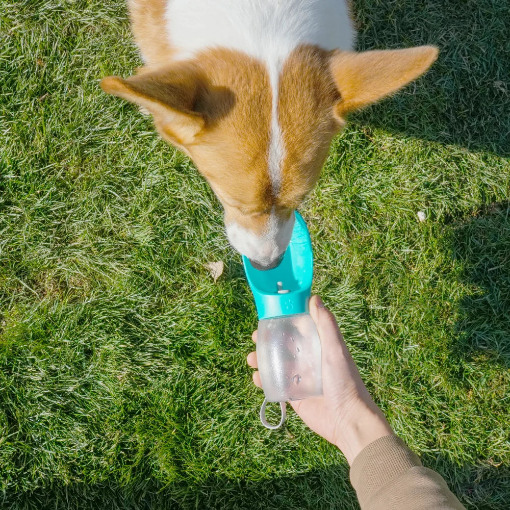 Haustier-Wasserflasche 300ml